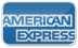 American Express Icon Link